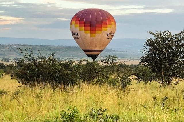 Hot Air Balloon Flight at Akagera National Park