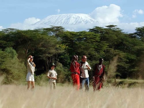 Guided nature walks and hiking tours