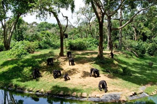 Uganda Wildlife Education Conservation Center